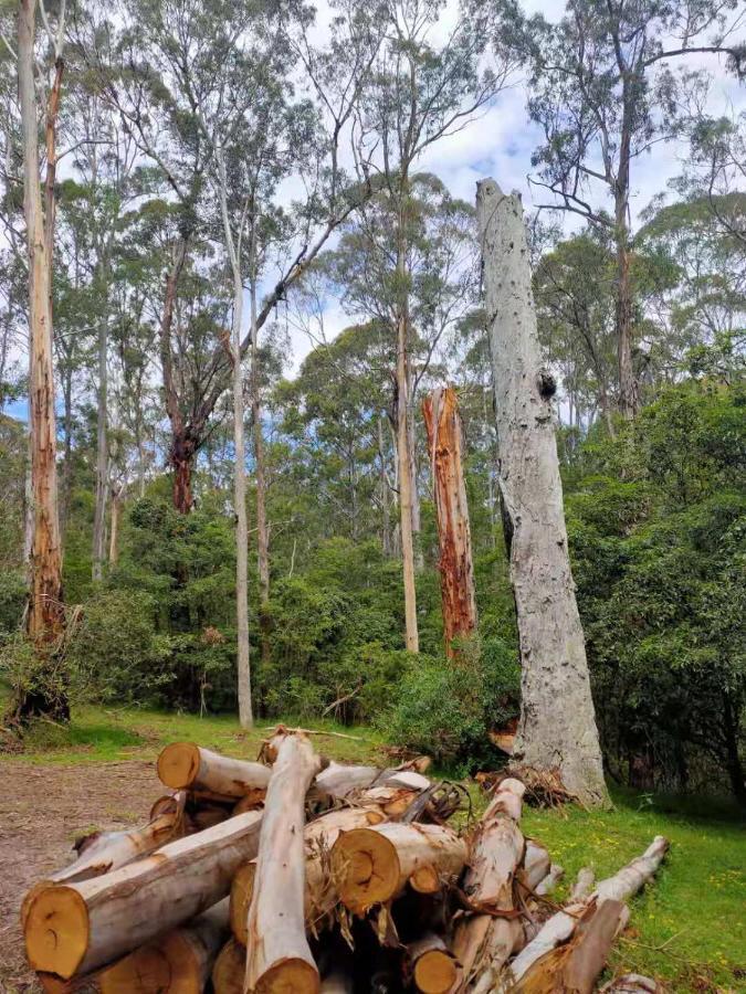 Lakes Entrance Log Cabins Εξωτερικό φωτογραφία