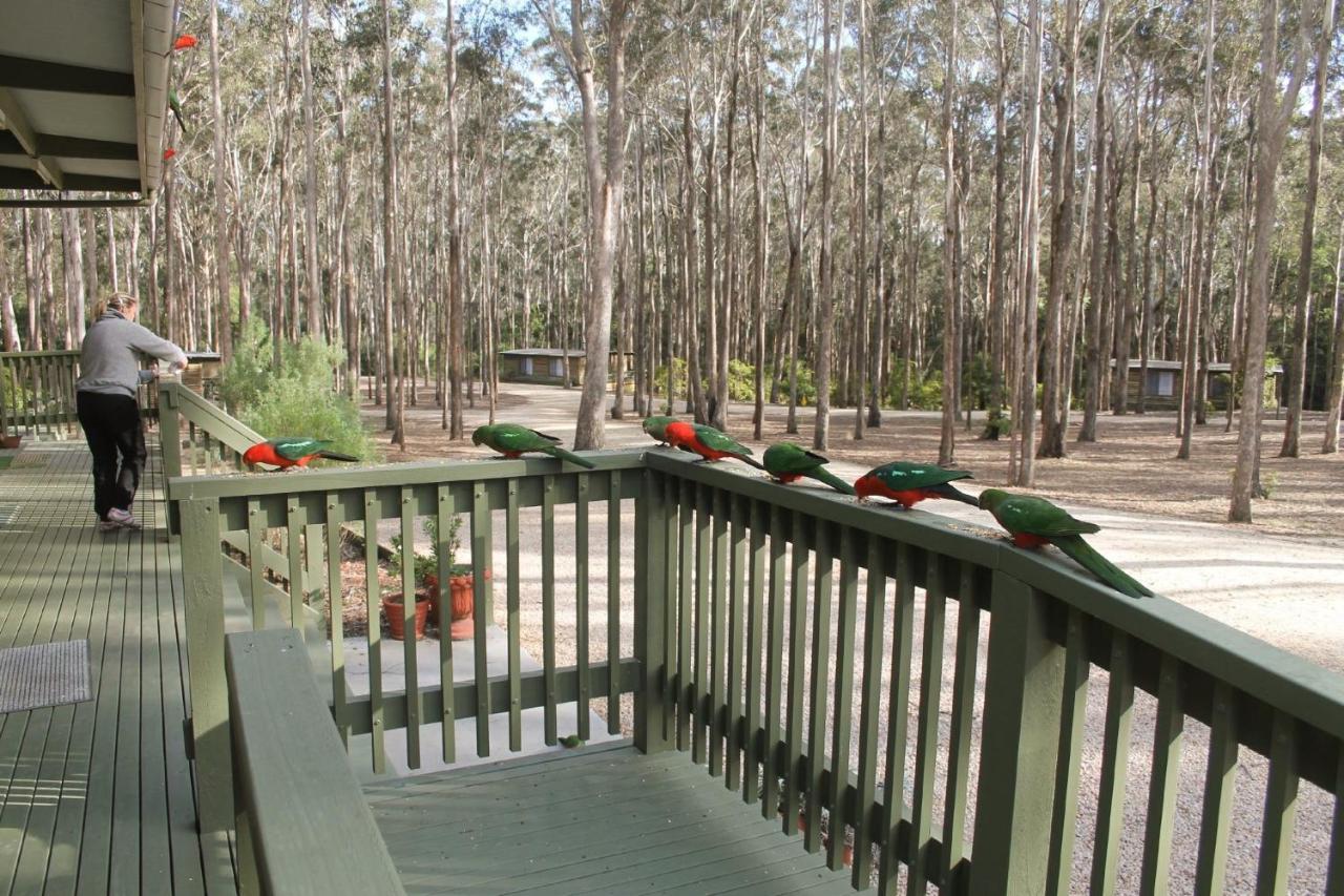 Lakes Entrance Log Cabins Εξωτερικό φωτογραφία