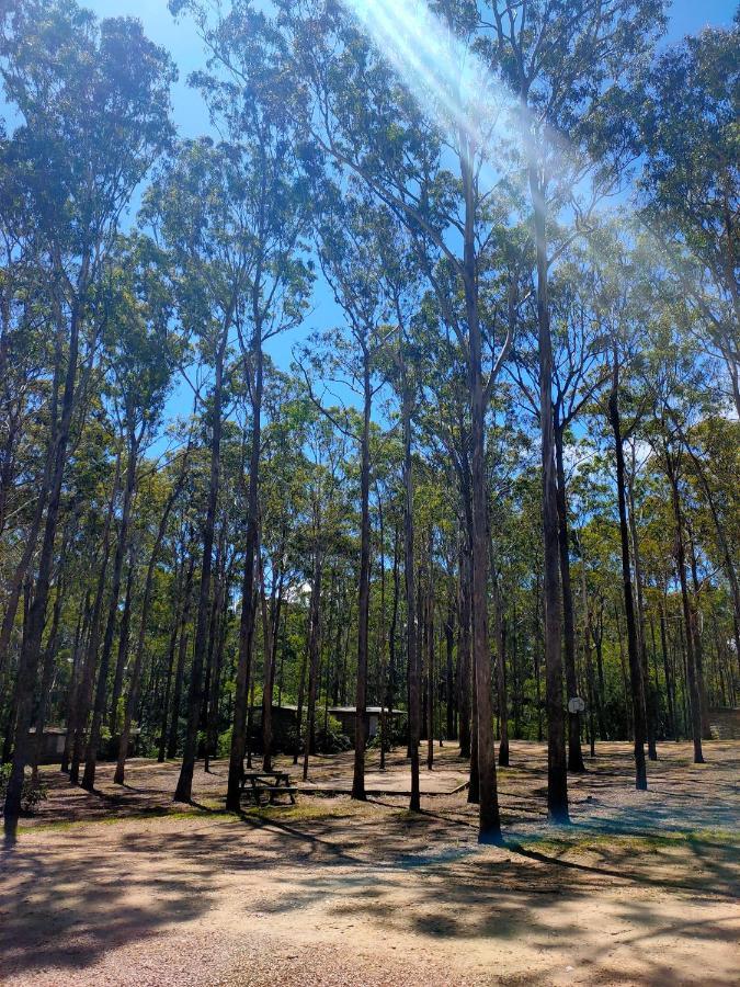 Lakes Entrance Log Cabins Εξωτερικό φωτογραφία